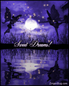 fairy sweet dreams good night
