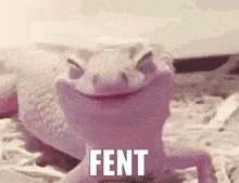Fent Lizard GIF - Fent Lizard Fentanyl GIFs