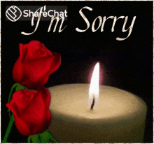 Im Sorry Apologies GIF - Im Sorry Apologies Roses GIFs