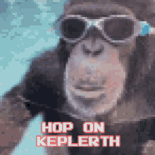 Hoponkeplerth Monkey GIF - Hoponkeplerth Keplerth Hopon GIFs