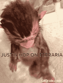 Justin Hop On Terraria Pls GIF - Justin Hop On Terraria Pls GIFs