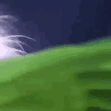 a green field with a blue sky in the background