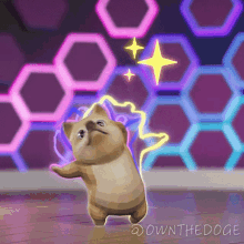Shades On The Doge Nft GIF - Shades On The Doge Nft Putting My Shades GIFs