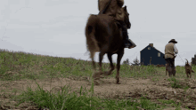 Horse Riding Travel GIF - Horse Riding Travel Ride GIFs