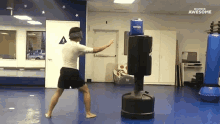 Work Out Practice GIF - Work Out Practice Kick GIFs