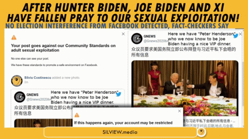 Silview Hunter Bideb GIF - Silview Hunter Bideb Joe Biden - Discover &  Share GIFs