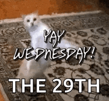 Yay Wednesday GIF - Yay Wednesday Yaywednesday GIFs