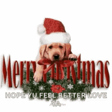 Merry Christmas Puppy GIF - Merry Christmas Puppy Hope You Feel Better Love Ya GIFs