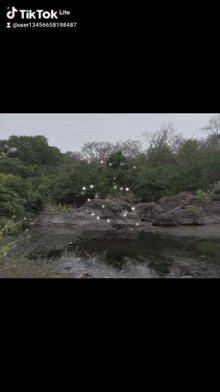 a tiktok video of a rocky area with trees and stars