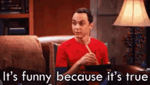 Sheldon Its Funny Because Its True GIF - Sheldon Its Funny Because Its True Tbbt GIFs