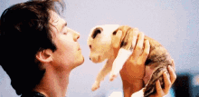 Love GIF - Dog Cute Kisses GIFs