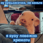 a pig is being held in someone 's hand with a caption that says " я буду поважно хрюкати "