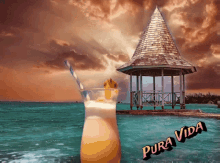Pura Vida Cocktail GIF - Pura Vida Cocktail Resort GIFs