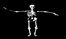 Skeleton Dancing GIF - Skeleton Dancing Animation GIFs