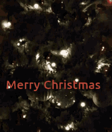 Merry Christmas Lights GIF - Merry Christmas Lights Pine GIFs