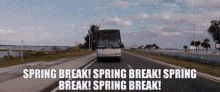 Spring Breakers March Break GIF - Spring Breakers Spring Break March Break GIFs