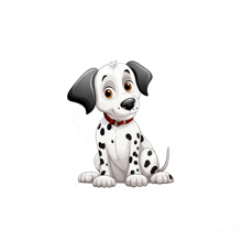 a dalmatian puppy with a red collar is sitting on a white background