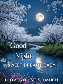 a picture of a river with a full moon and the words " good night sweet dreams baby "