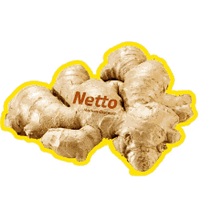 nettoingwer ginger vegetable netto marken discount