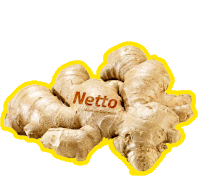 Nettoingwer Ginger Sticker - Nettoingwer Ginger Vegetable Stickers