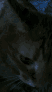 a blurred image of a person 's face with a dark background