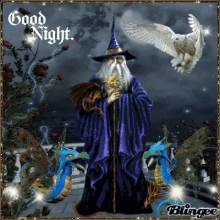 Magical Wizard GIF - Magical Wizard Good Night GIFs