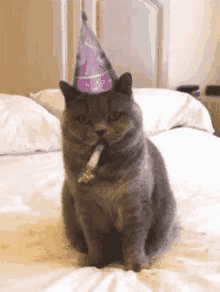 Jetaime Cats GIF - Jetaime Cats Happy Birthday GIFs