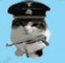 полиция кот GIF - полиция кот GIFs