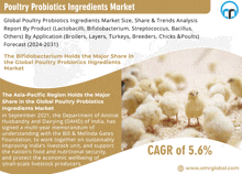 Poultry Probiotics Ingredients Market GIF