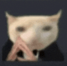 a blurry picture of a cat wearing a tuxedo and a hat .