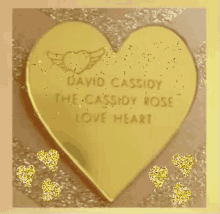 david cassidy the cassidy rose love heart