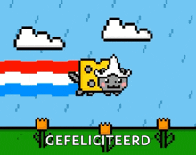 Dutch Nyan Cat Flying GIF