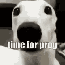 Prog Time For Prog GIF
