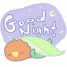 cheerful coco bird sleep bedtime