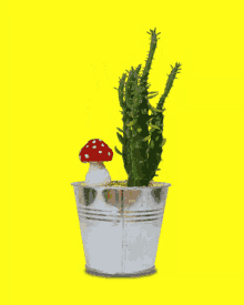 Rotating Cactus Cactus GIF - Rotating Cactus Cactus Plant GIFs