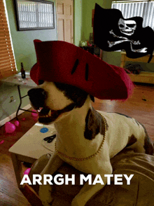 Pirate Bentley Dog GIF
