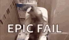 Cat Fail GIF - Cat Fail Funny Animals GIFs