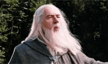 Gandalf Whistle GIF - Gandalf Whistle The Lordofthe Rings GIFs