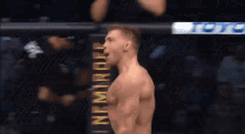 South Africa GIF - South Africa Ufc GIFs