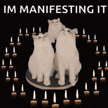 three white cats are surrounded by lit candles with the words im manifesting it