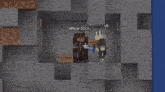a person is standing in a cave in minecraft .