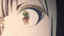 a close up of a girl 's eye with a reflection of a flower in it