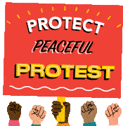 Protect Peaceful Protest Protest Peacefully Sticker - Protect Peaceful Protest Protest Peacefully Protesting Stickers