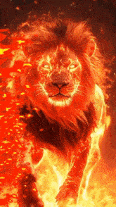 a lion is surrounded by flames and looks like it is on fire