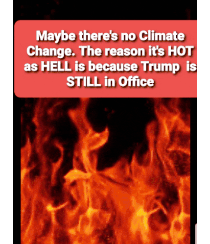 Donald Trump Climate Change Sticker - Donald Trump Trump Climate Change Stickers