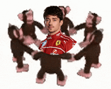 a man in a red ferrari jersey is surrounded by monkeys