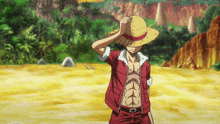 a man wearing a straw hat and a red shirt is standing in a field