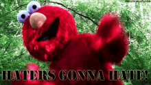 Elmo Haters Gonna Hate GIF - Elmo Haters Gonna Hate Haters GIFs