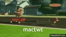 Mac Macthollomew GIF - Mac Macthollomew Spongerobby GIFs
