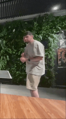 a man in a grey shirt and khaki shorts is standing in front of a wall of plants .